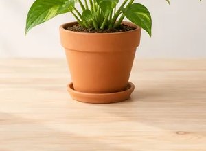 合成照片示例取景 3